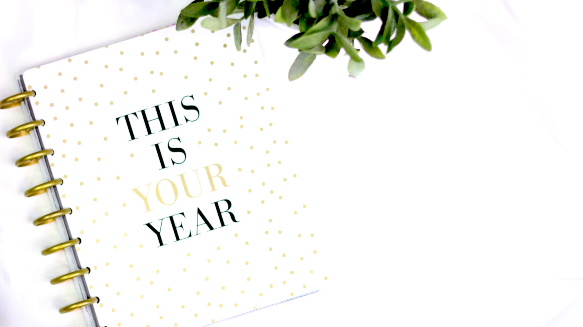 This is your year planner designed to help you stay organized and conquer  the organizing fever.