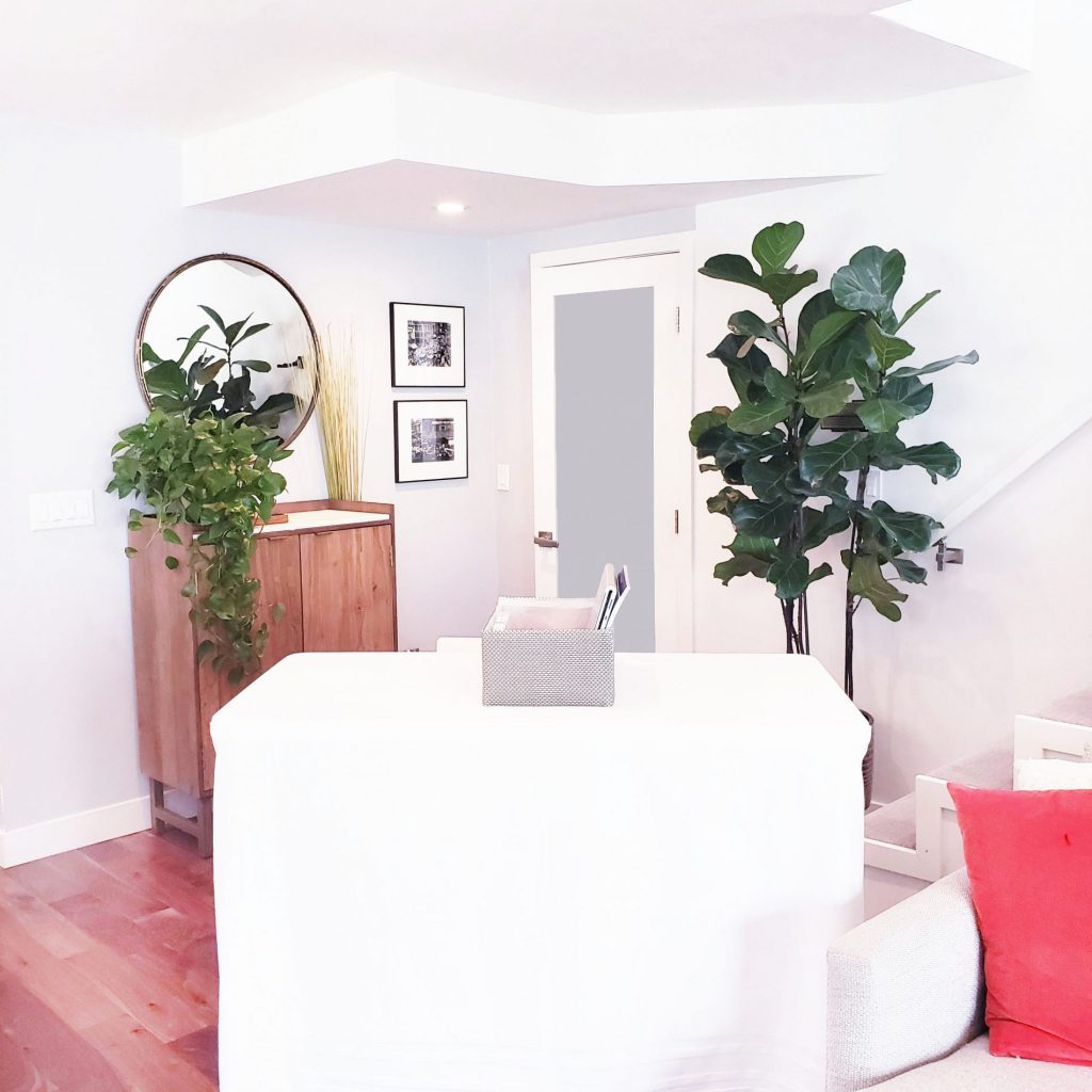 An organized living room with a white desk and a large plant.